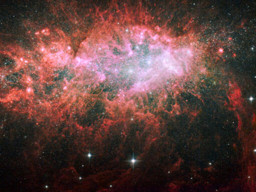 Galaxia pitică NGC1569