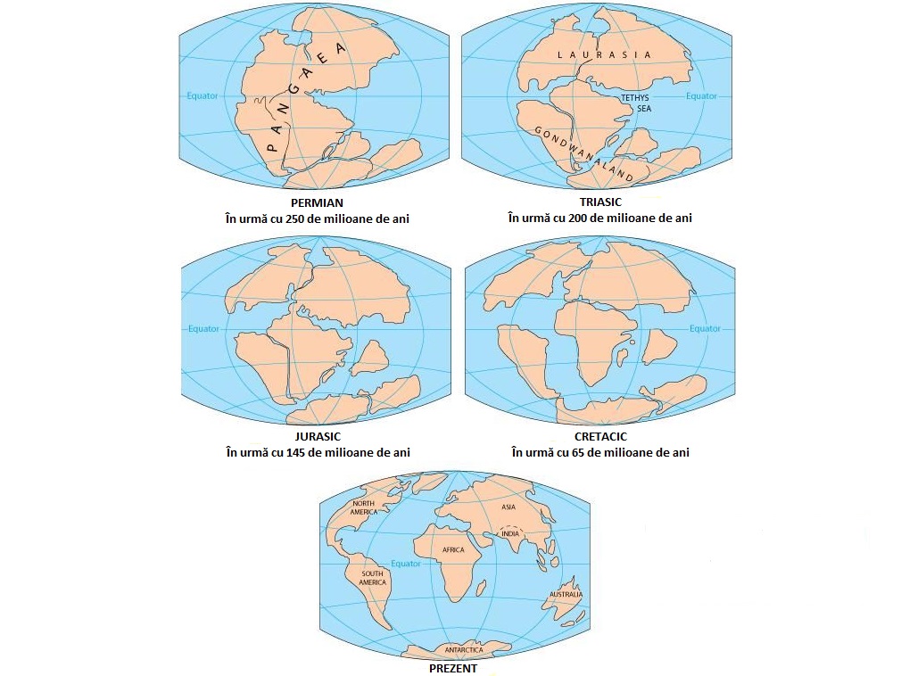Evoluția continentelor