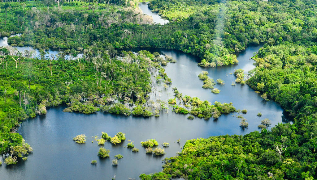 Pădurea Amazoniană