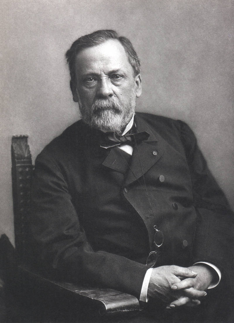 Louis Pasteur (portret)