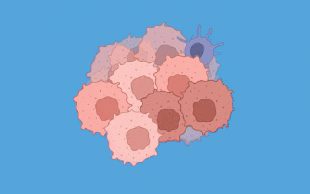 Ilustrație a unor celule