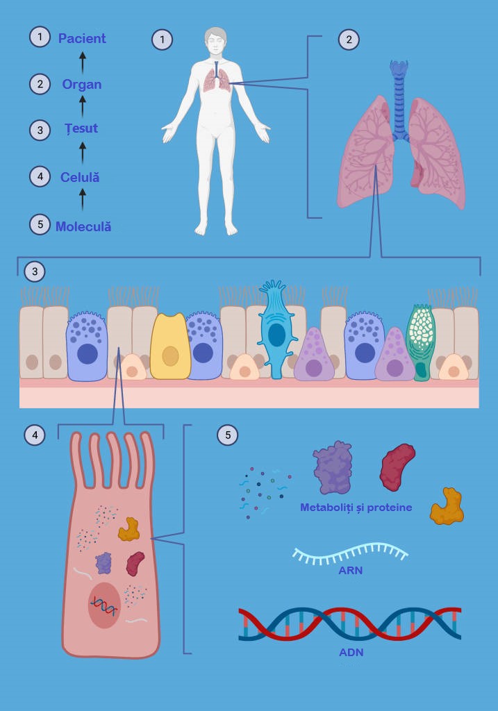 Ilustrație complexitatea cancerului