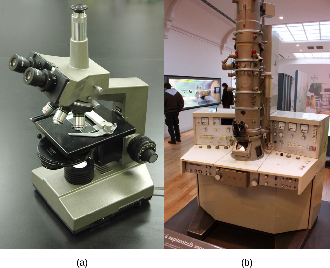 Microscopul optic și microscopul electronic