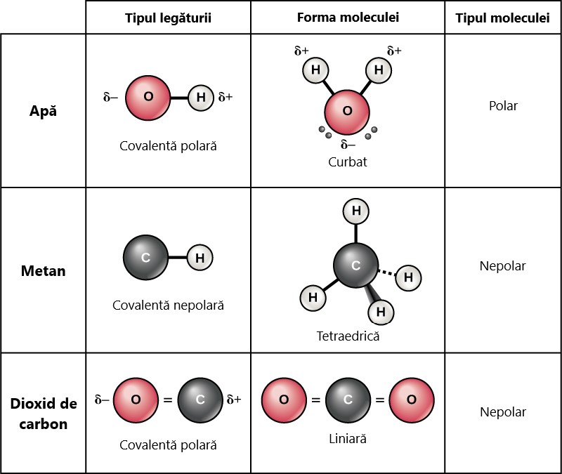 Molecule polare și nepolare
