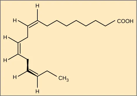 Acidul alfa-linolenic