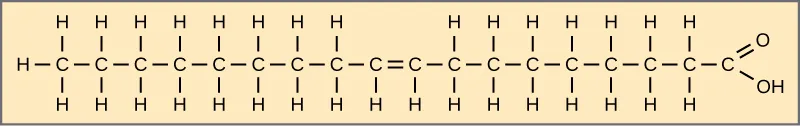 Structura acidului oleic