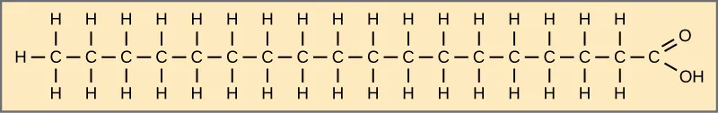 Structura acidului stearic